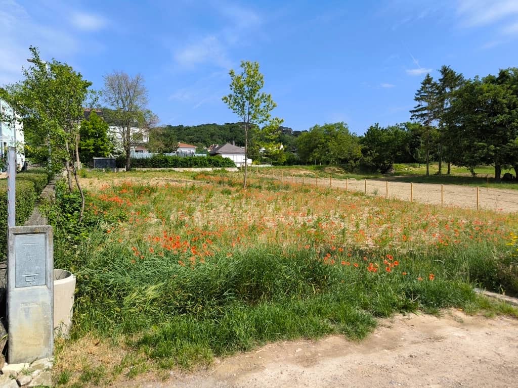 Grundstück 729 m² Eisenstadt Oberberg