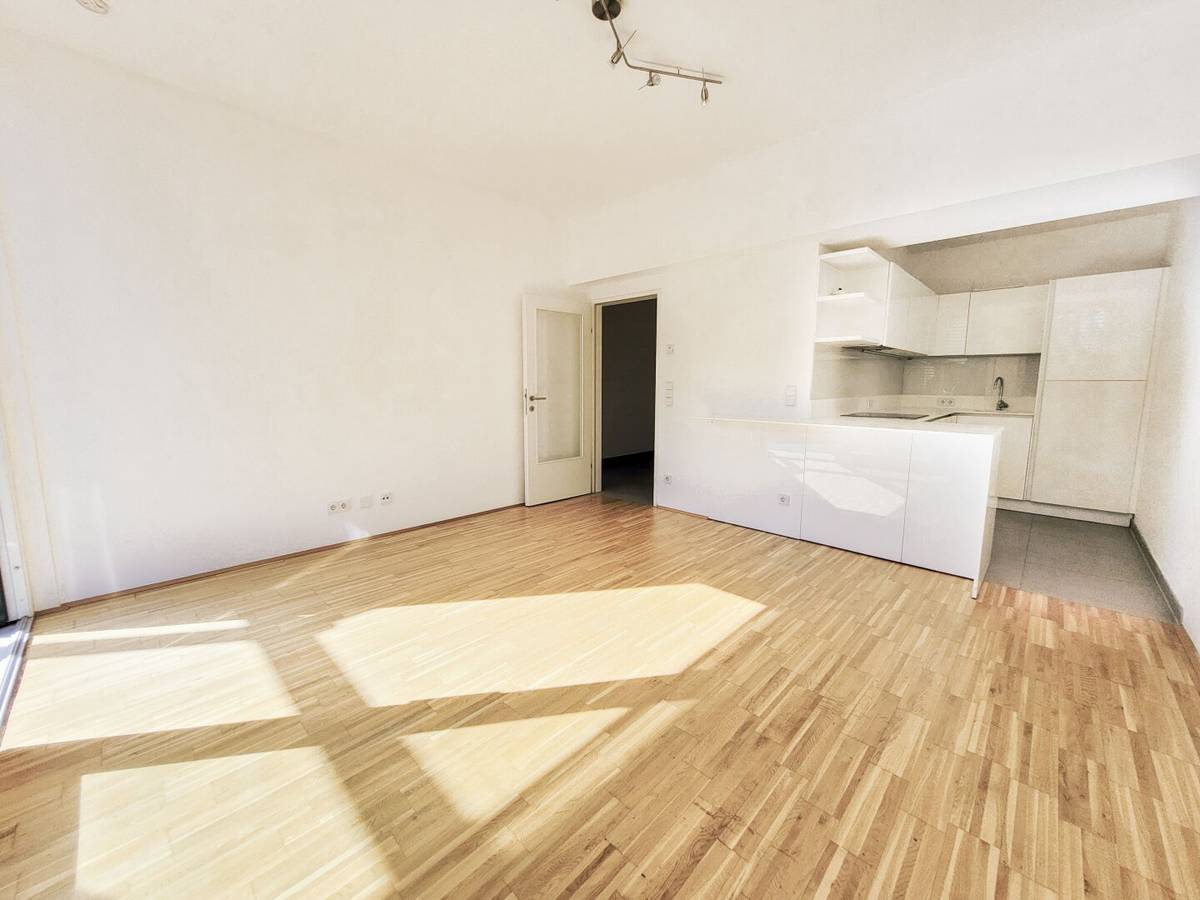 City-Apartment mit XXL-Balkon, Wien 1040