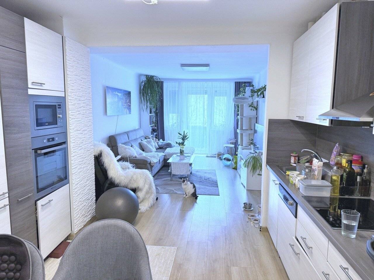 Wohnung Hofruhelage nahe Hauptbahnhof saniert