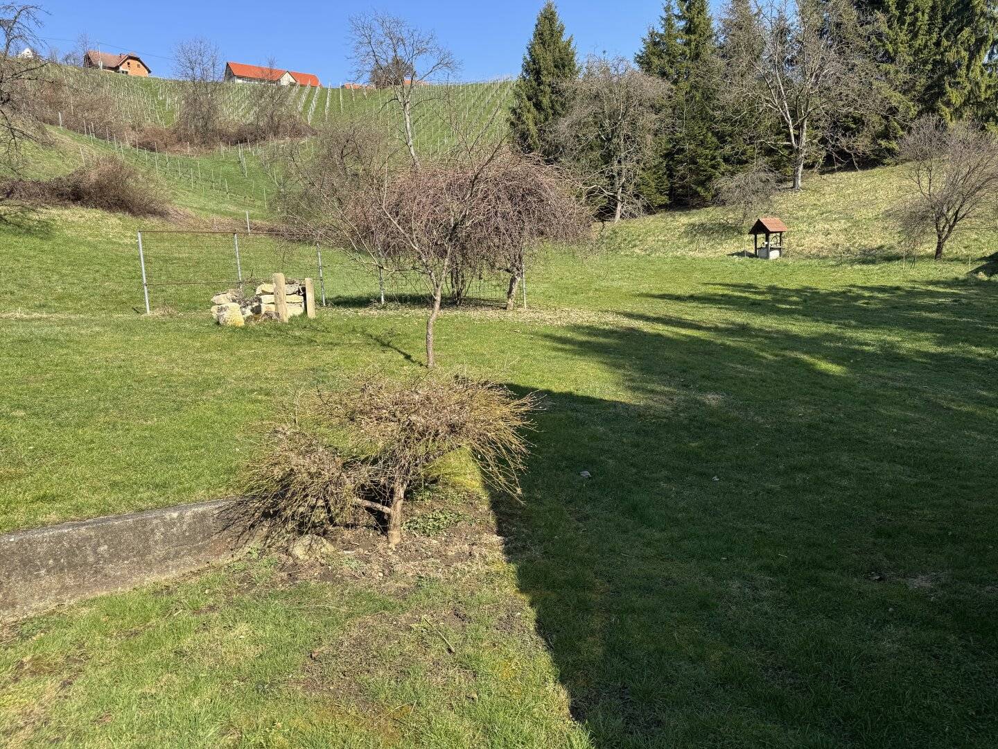 Bauernhaus Spielfeld, 153m², Garten