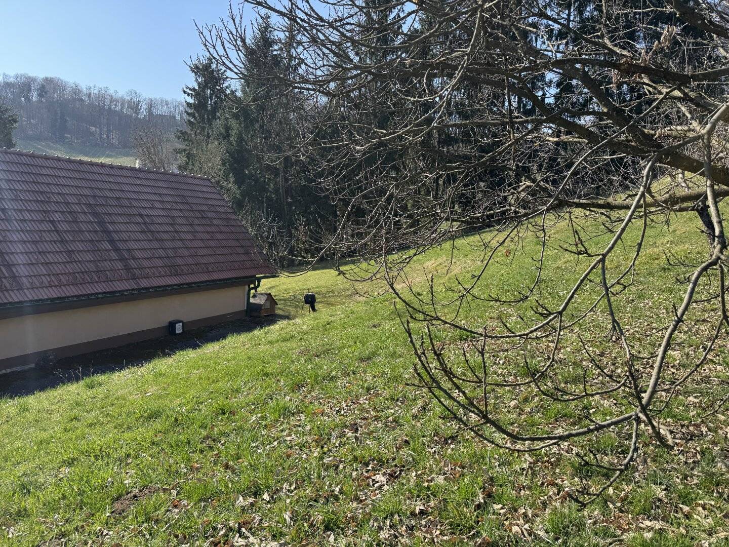 Bauernhaus Spielfeld, 153m², Garten