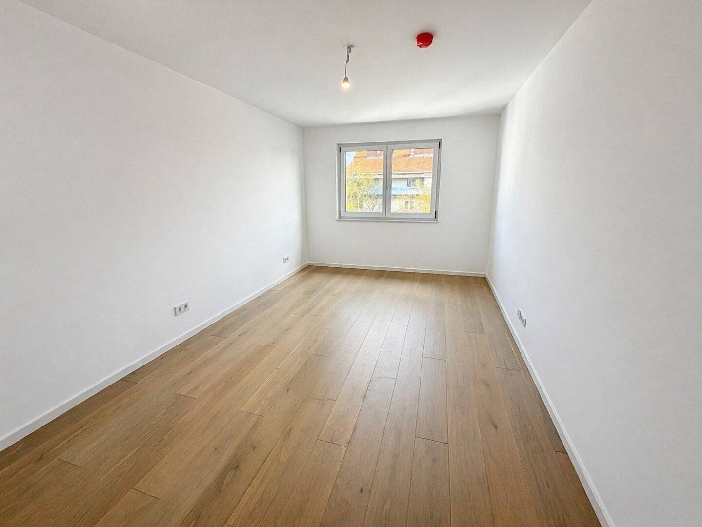 Immobilienbild 4