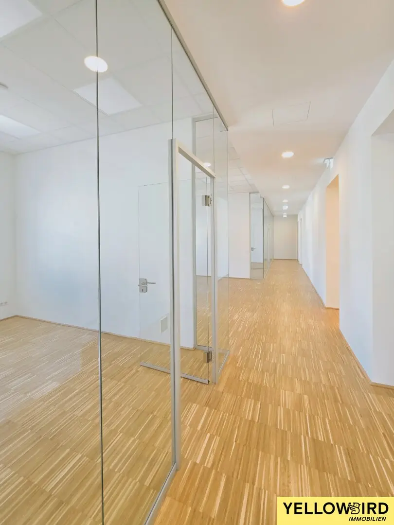 Topsanierte Bürofläche I 344m² I sehr gute Lage des 1.Beziks I moderne Ausstattung I unbefristet!