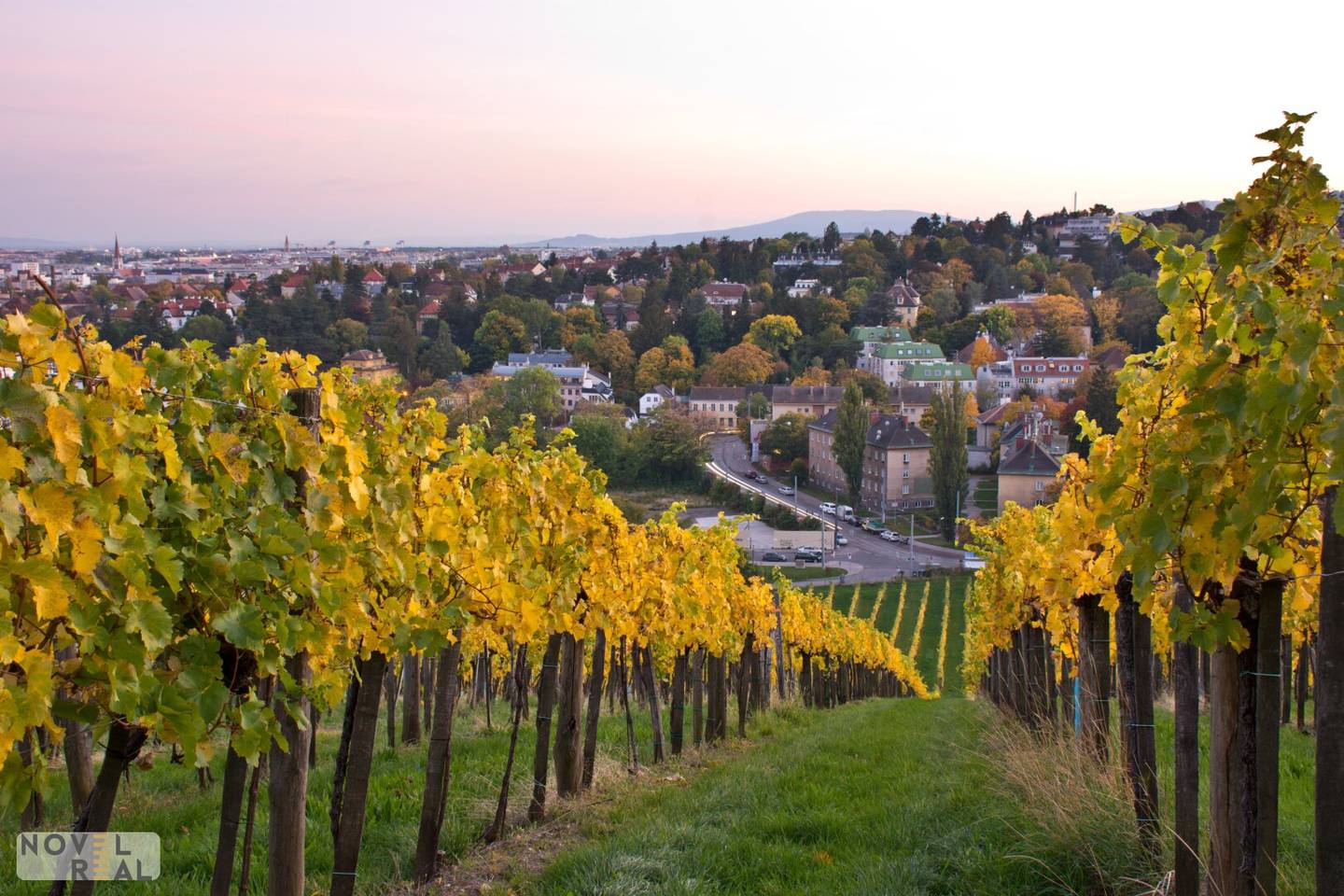 Building Plot 1787m² Grinzing
