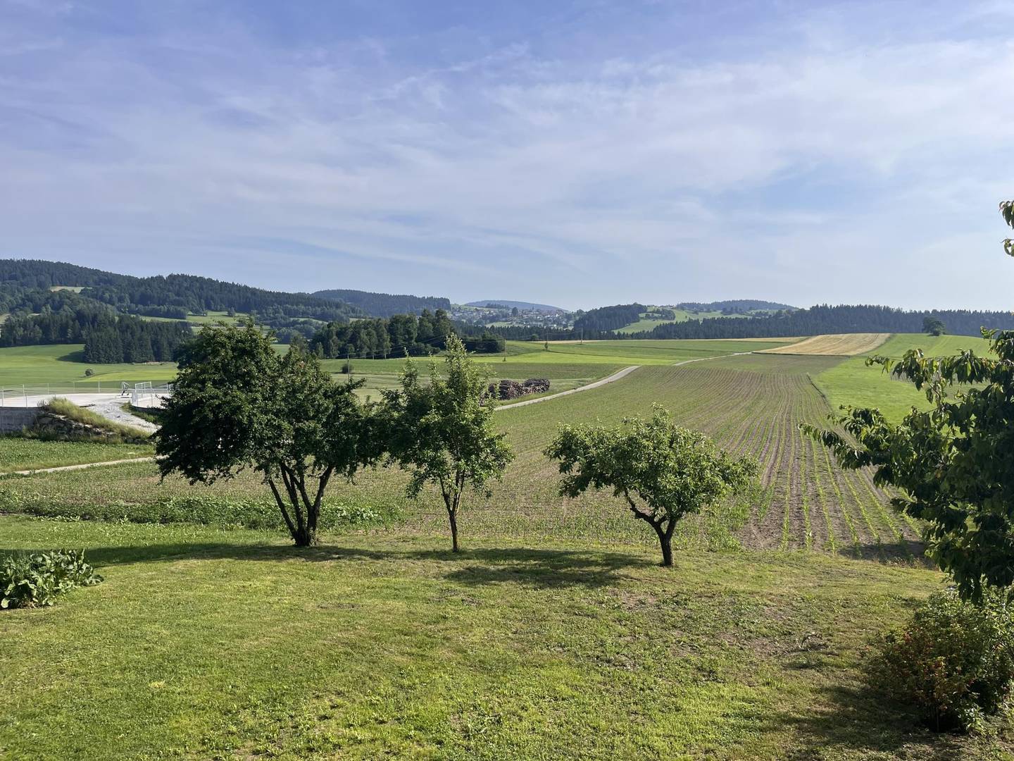Wohnhaus mit Garten in Nebelberg