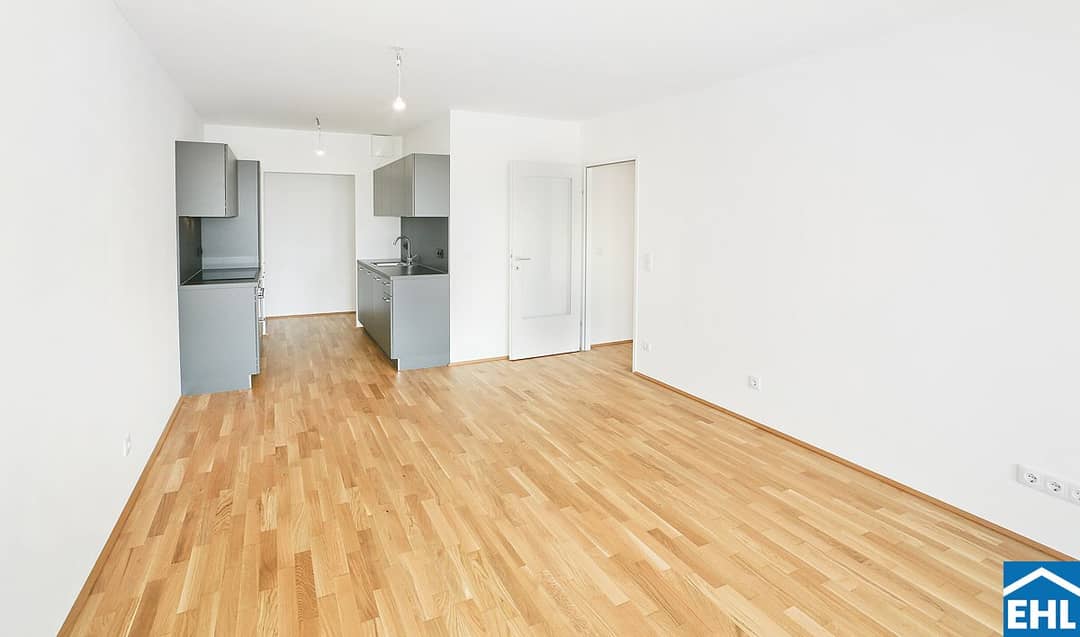 New build apartment Seestadt Aspern balcony