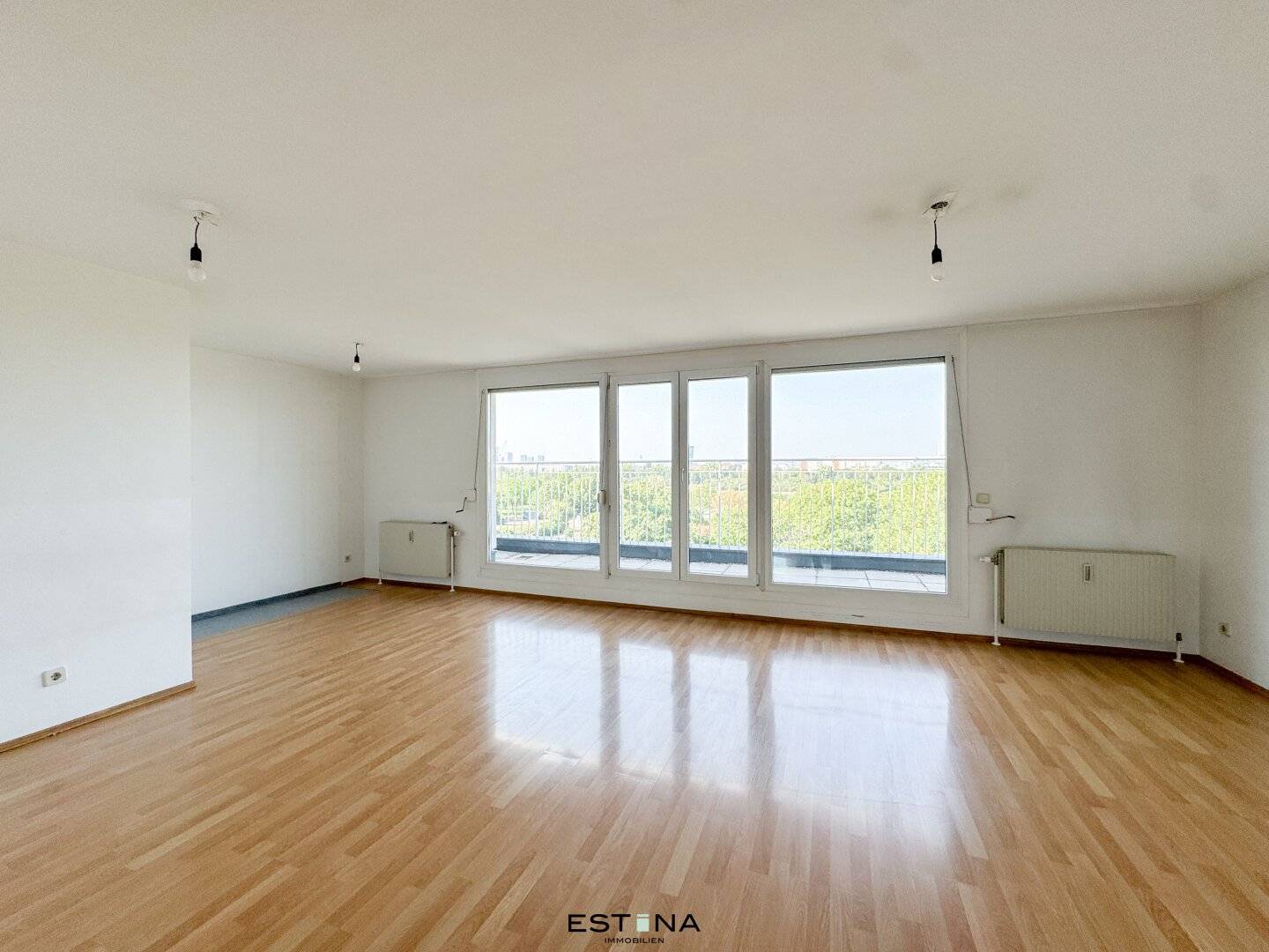 Danube Island apartment two balconies terrace