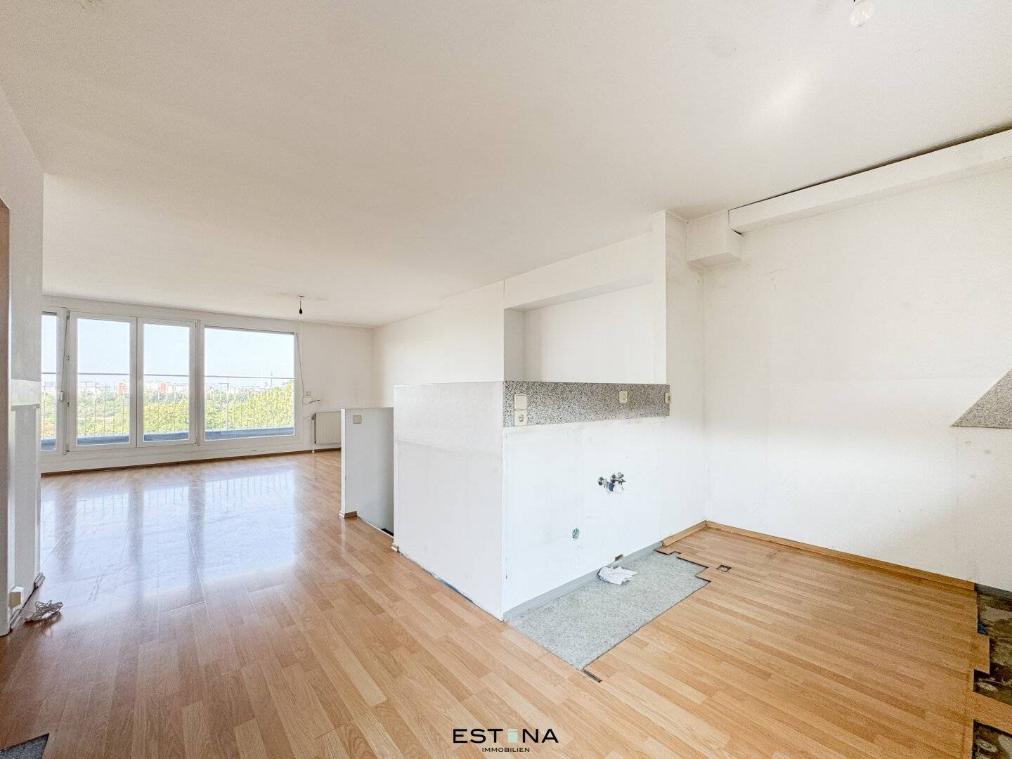 Danube Island apartment two balconies terrace