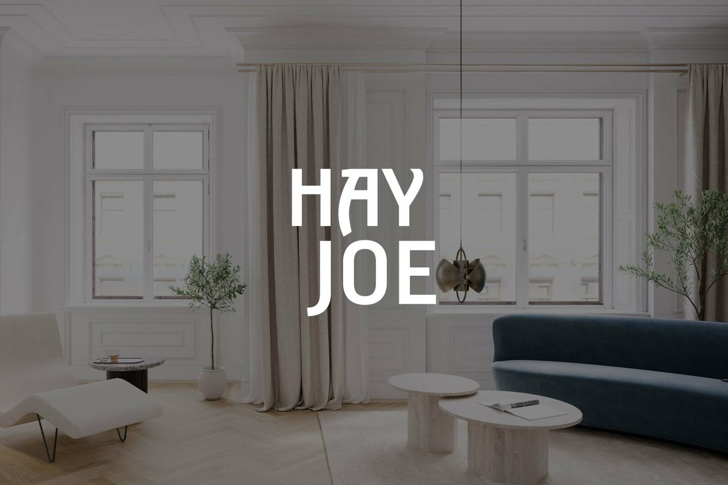 HAY JOE