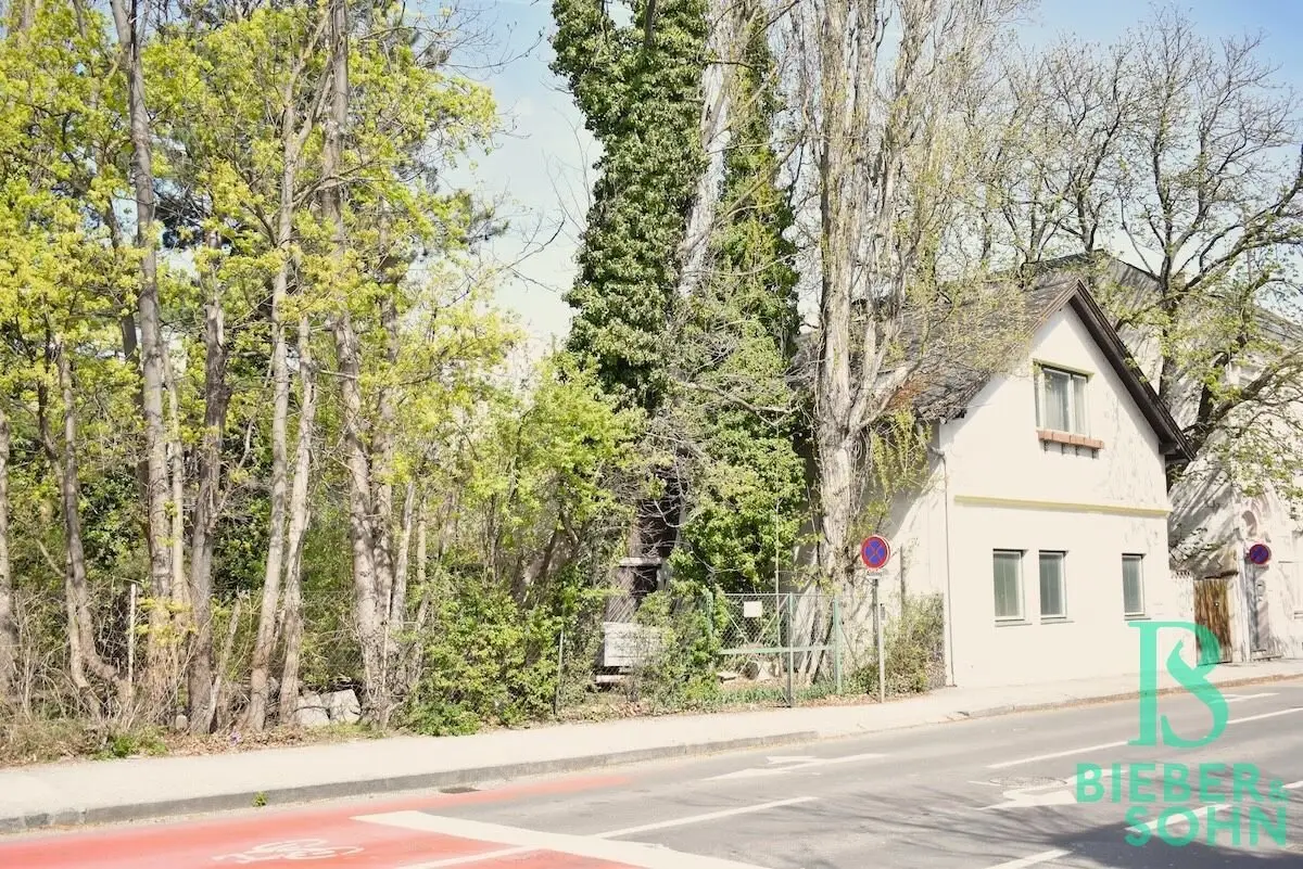 908m² plot in Baden