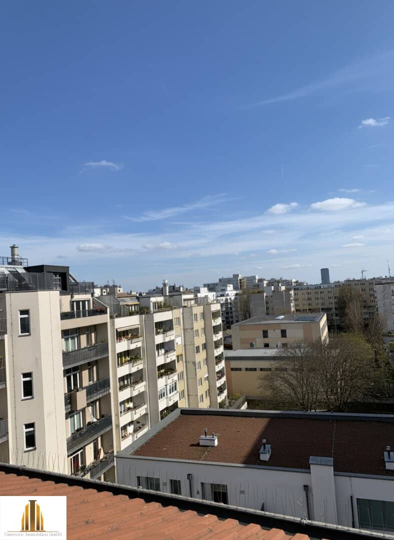 Apartment unfinished attic with Danube view