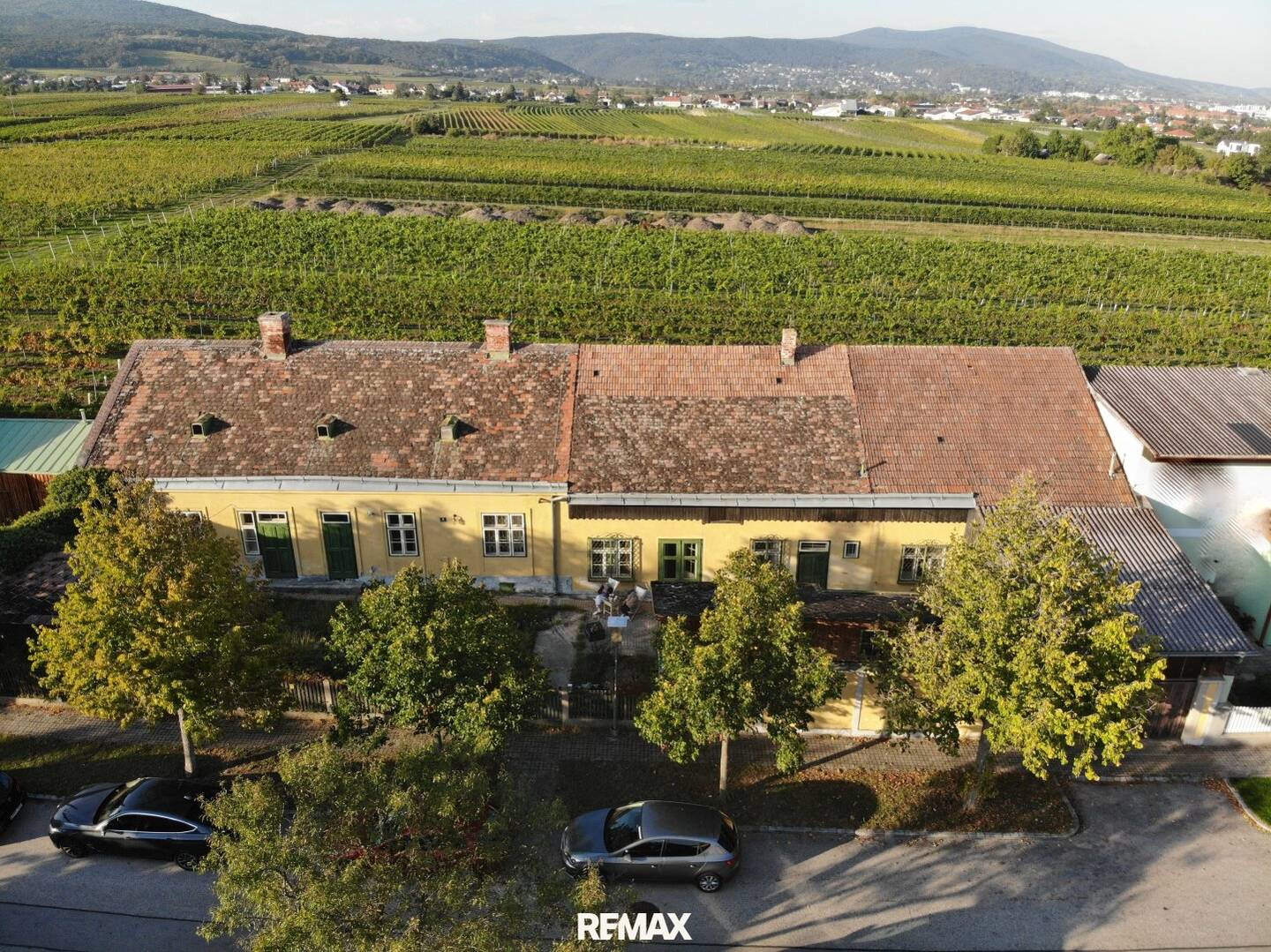 Building land Bad Vöslau vineyards