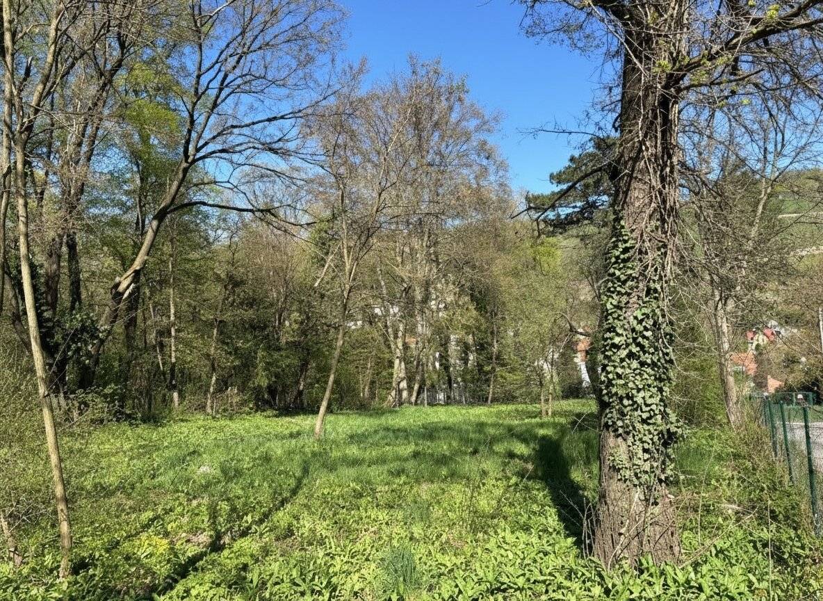 Baugrund Ödberg Klosterneuburg 594m²