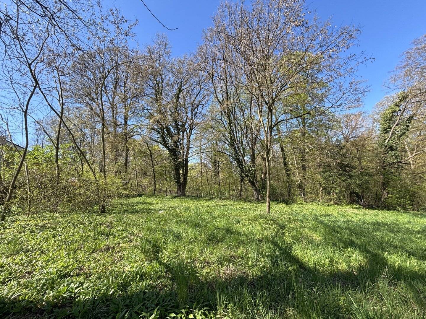 Baugrund Ödberg Klosterneuburg 594m²