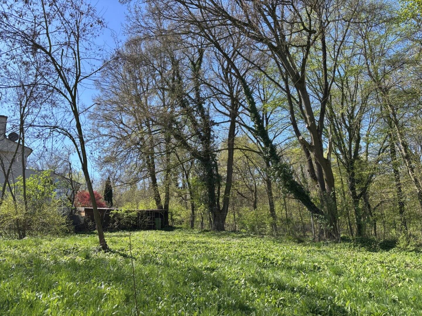 Baugrund Ödberg Klosterneuburg 594m²