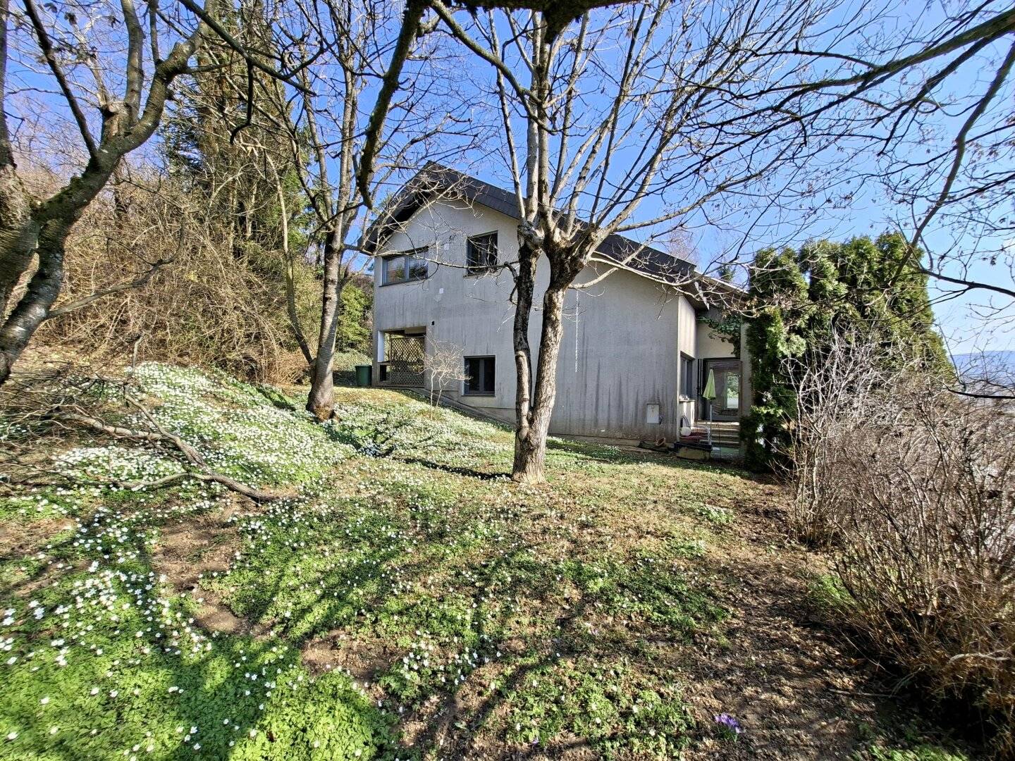 Einfamilienhaus Birkfeld 250m²