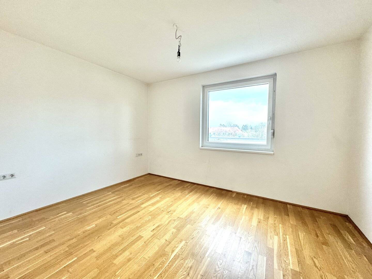 Immobilienbild 4