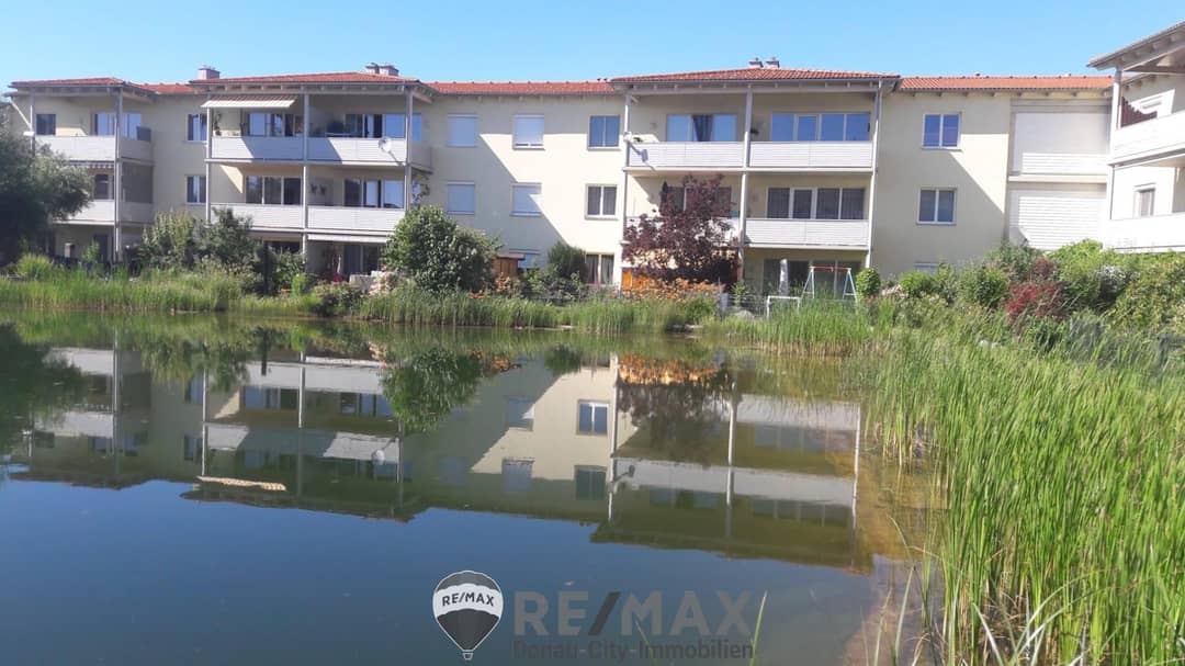 Dachgeschosswohnung mit Südterrasse und Schwimmteich