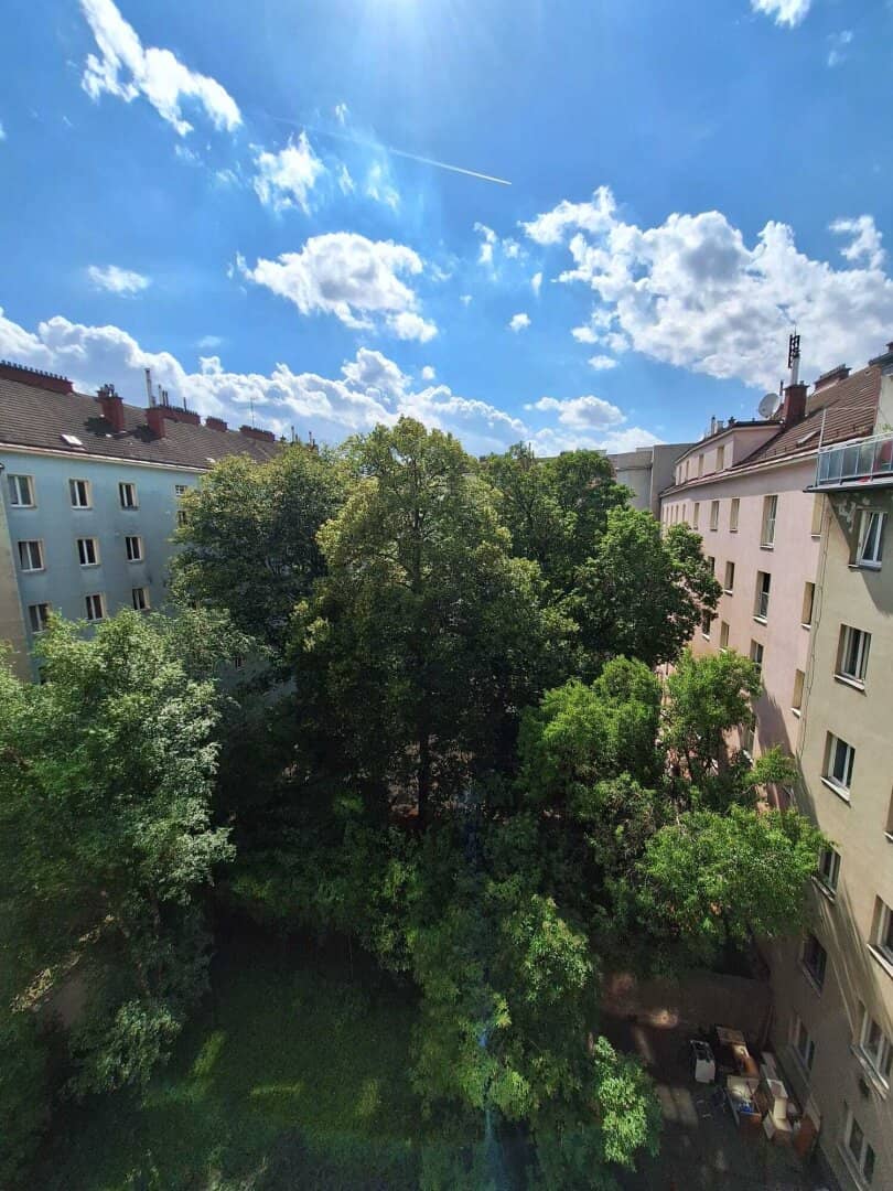 Helle zentrale Wohnung mit neuer Komplettküche nahe Antonsplatz