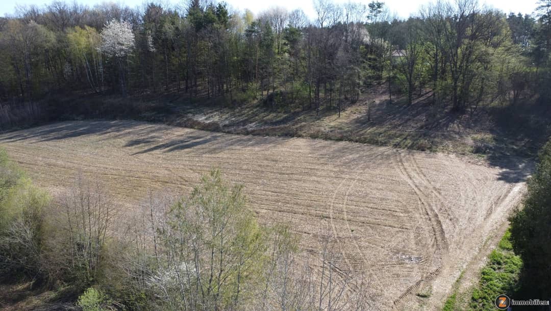 Building plots in Stegersbach from €39/m²