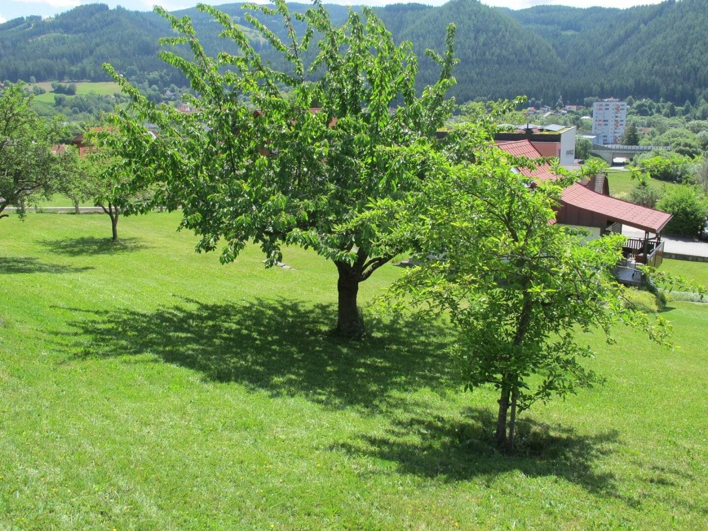 Bauland-Grundstück in bester Lage mit Altbestand