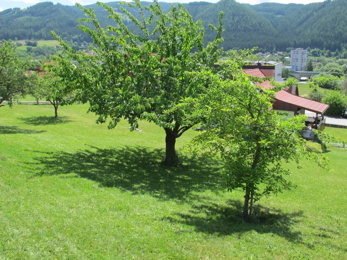 Building plot in prime location with existing buildings