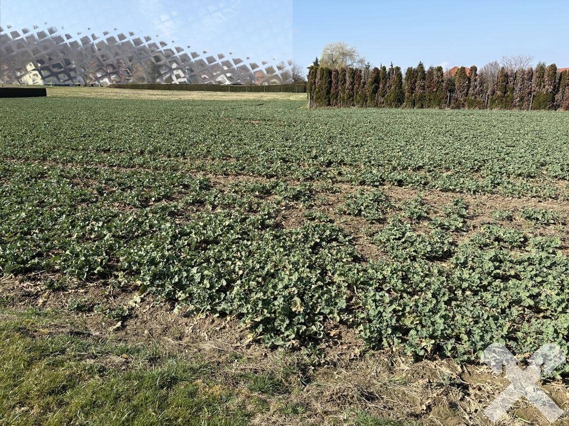 Grundstücke in Leitersdorf/Feldbach