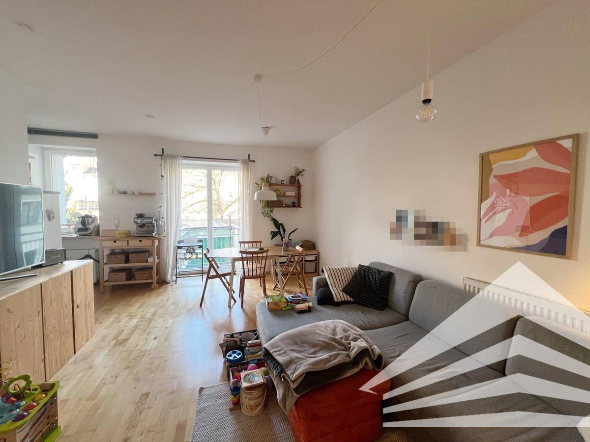 Quiet 3-room flat with terrace in Linz City