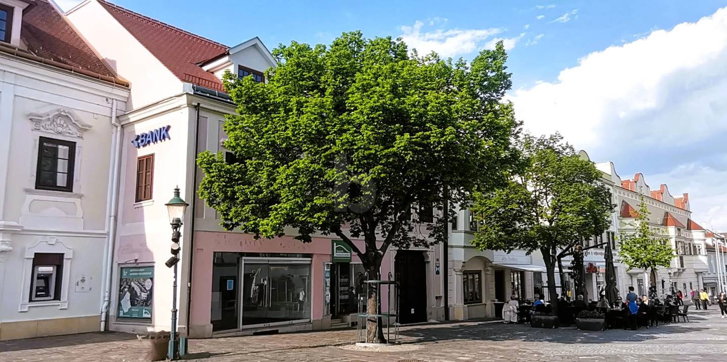Repräsentative Wohnung mit Glasfassade in Frequenzlage