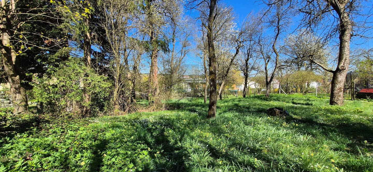 Bauland im Ortszentrum mit Gestaltungsspielraum Wohnung