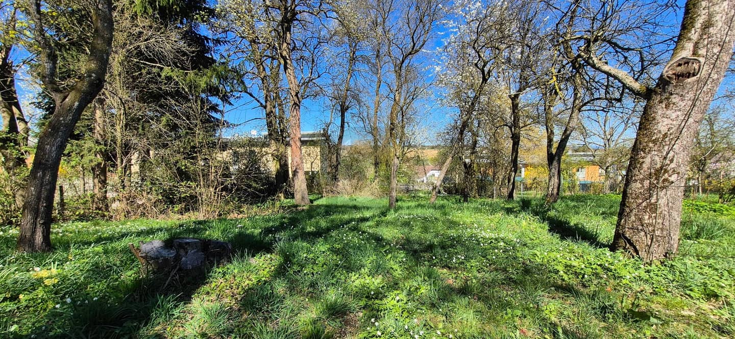 Bauland im Ortszentrum mit Gestaltungsspielraum Wohnung