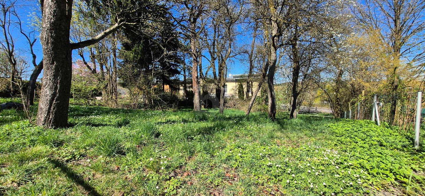 Bauland im Ortszentrum mit Gestaltungsspielraum Wohnung