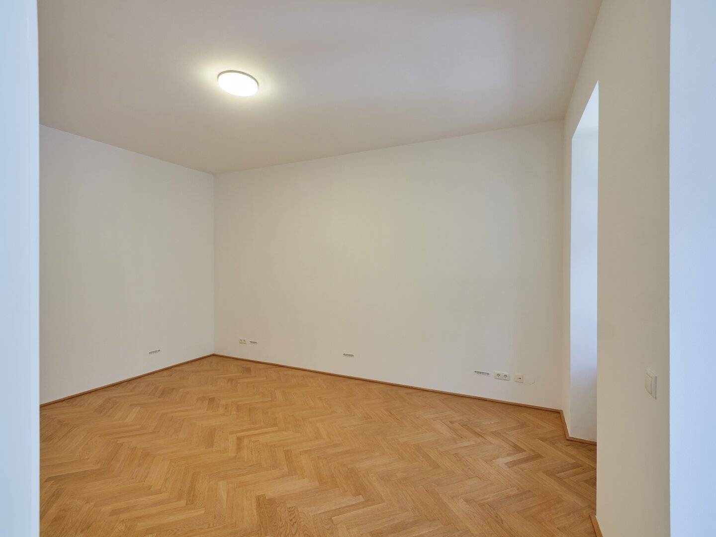 Ground floor apartment with garden and cellar