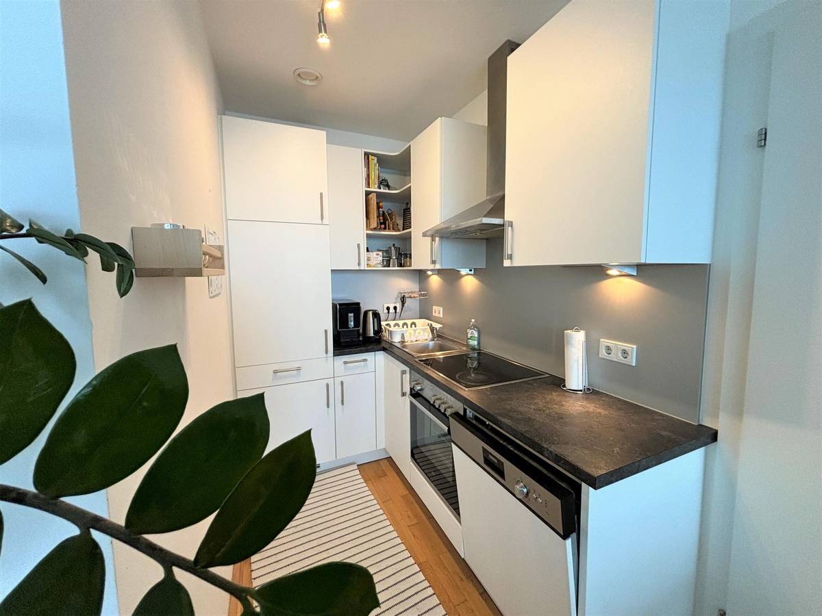 2-Room Apt with View, Linz