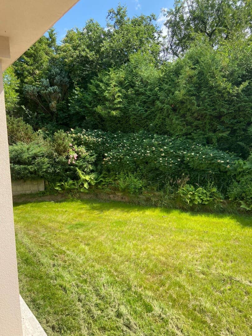 Immobilienbild 3