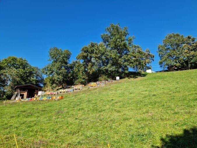 Baugrundstücke Seeboden ab 750 m²