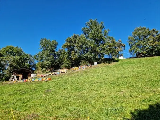 Building plots Seeboden from 750 m²