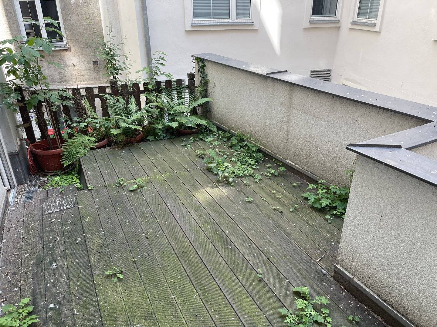 TRAUM ALTBAUWOHNUNG MIT TERRASSE DIREKT BEI KARLSKIRCHE