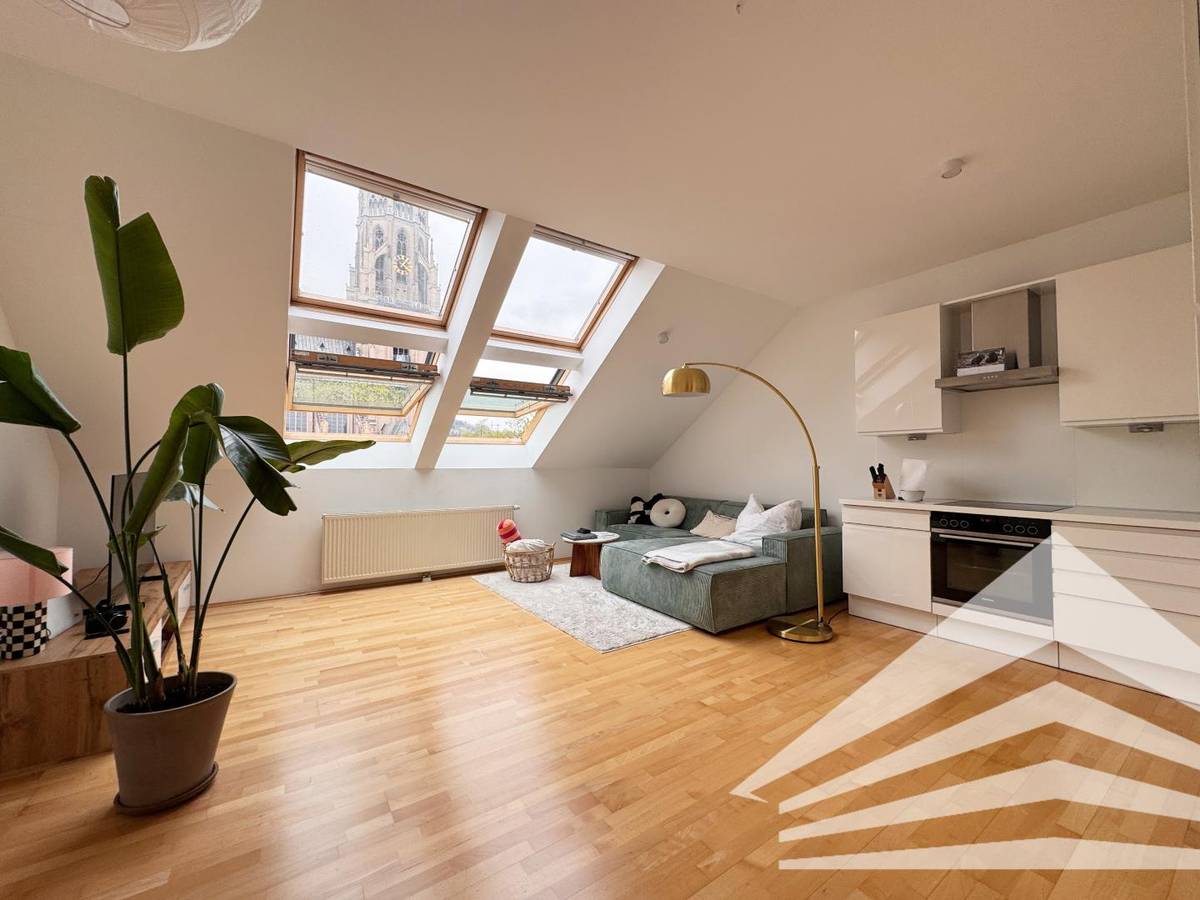 2-Room Attic Apt Herrenstrasse