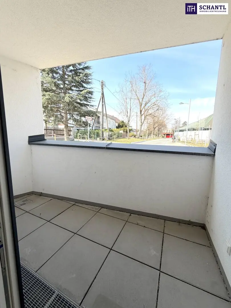 Clever wohnen im Grünen – Moderne Anleger- oder Singlewohnung im 22. Bezirk