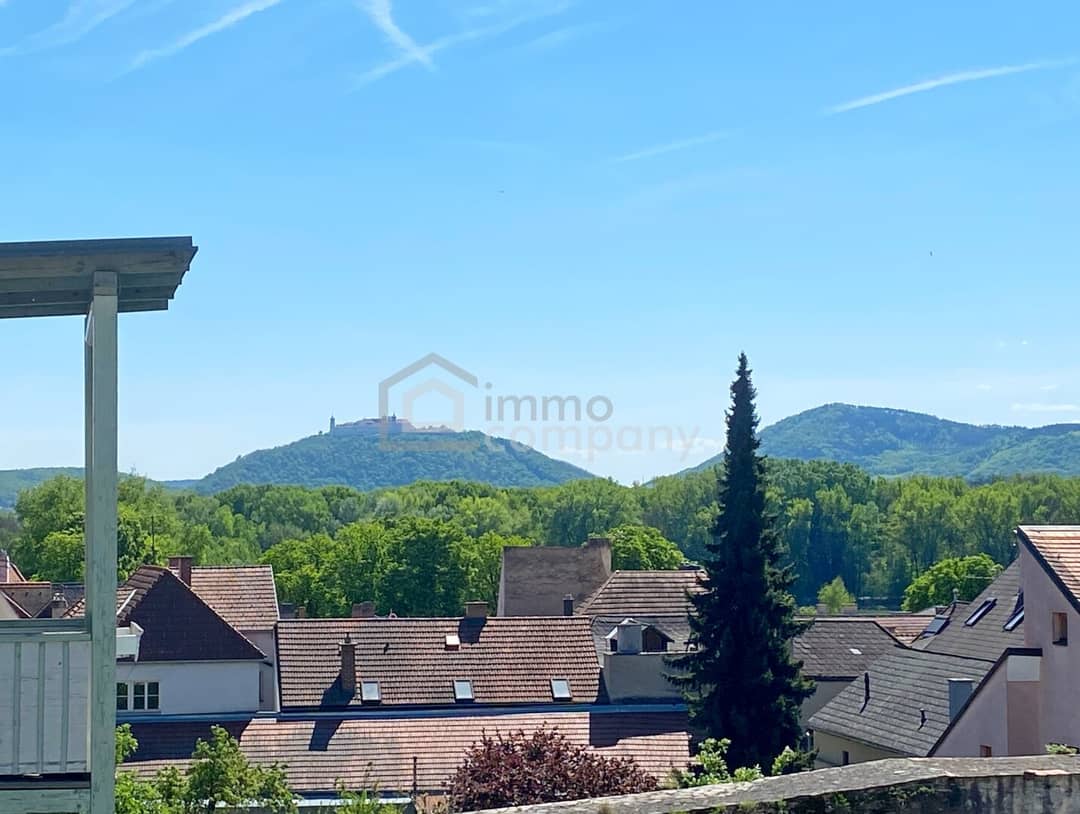 Dachgeschosswohnung Balkon Aussicht Weinberge