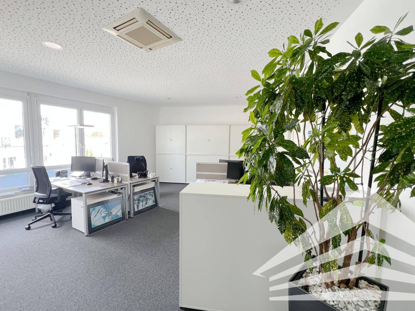 Office 317m² Linz Franzosenhausweg