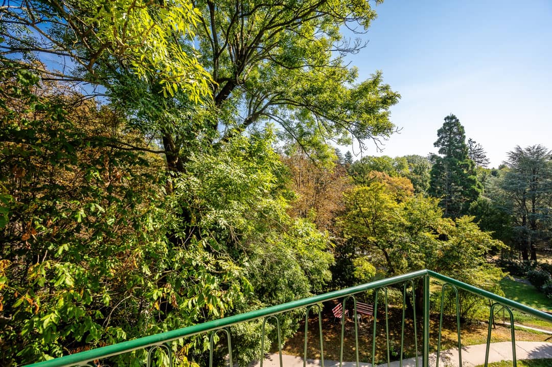 Renovated apartment with balcony in quiet area