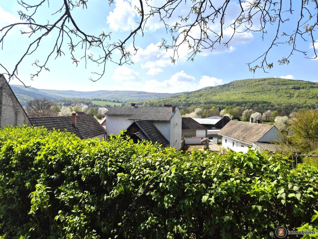 Ausblick zum Naturpark Geschriebenstein
