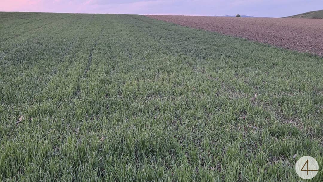 8.8 ha Field in Mannersdorf