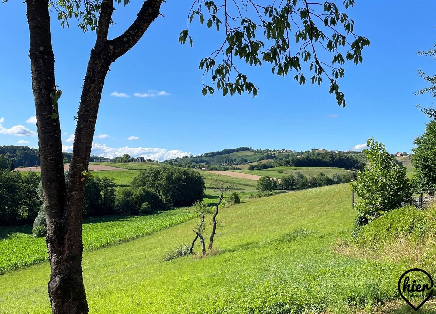 EFH St. Nikolai m. 128m² & 7630m² Grund