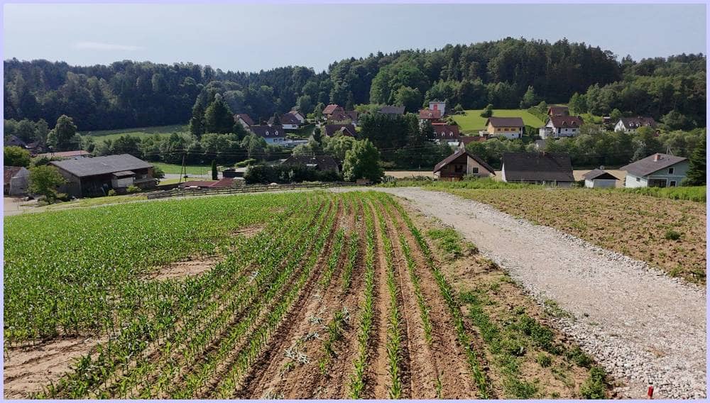 Baugrundstück 956 m² Kirchberg