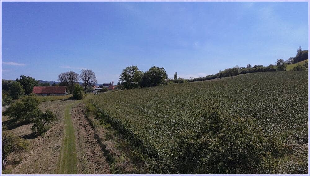 Baugrundstück 3000m² Feldbach