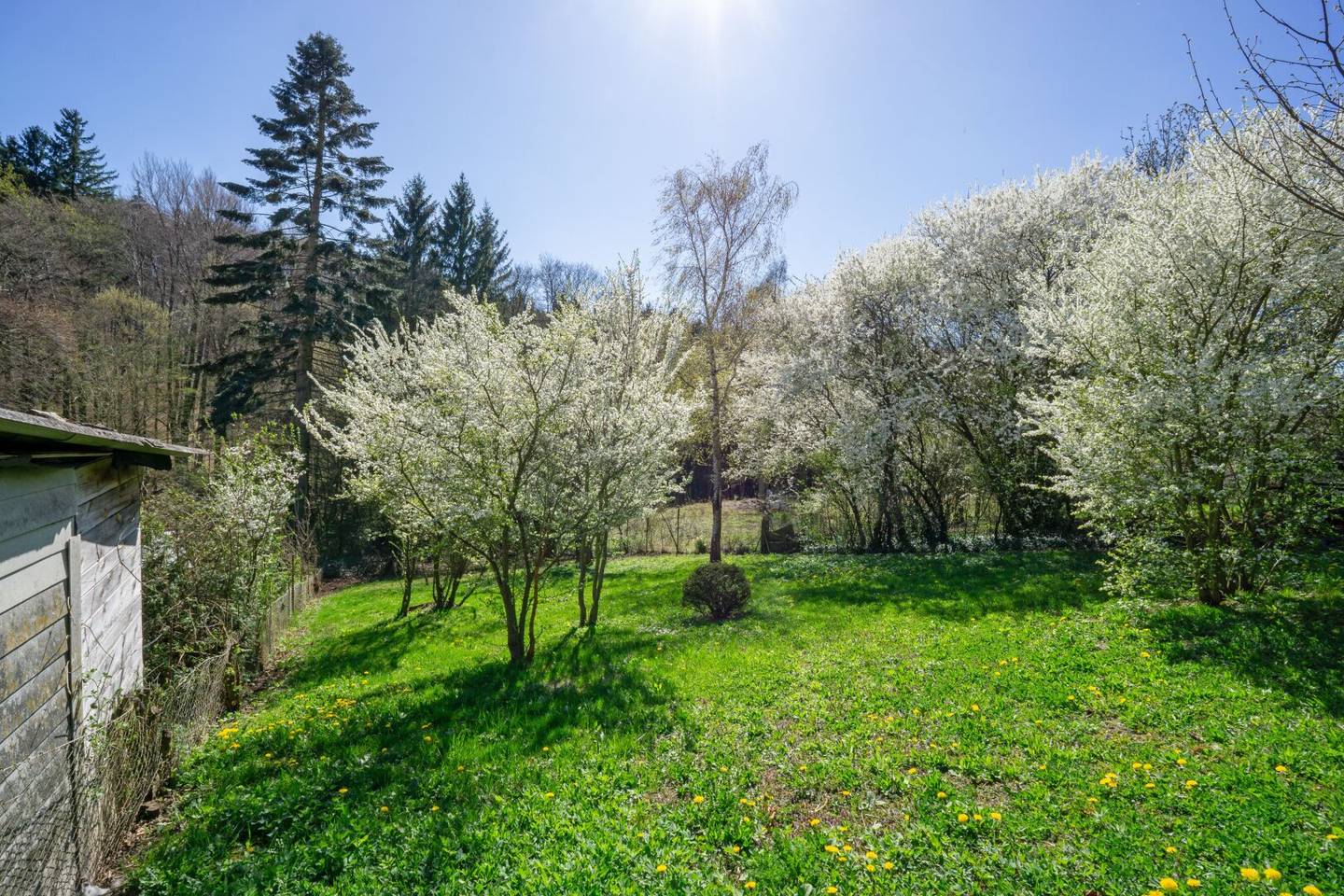 Baugrund mit Grünland Riederberg