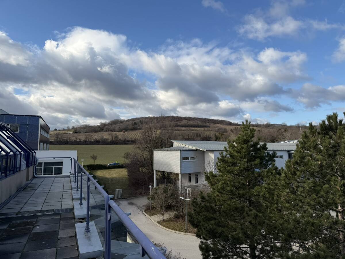 Office Building Mödling 8523 m²